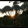 20050514_087